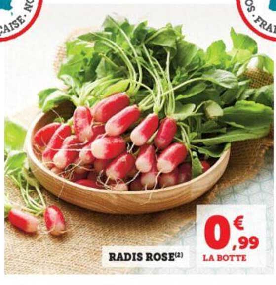 Radis Rose