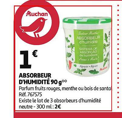 absorbeur d'humidité 90g