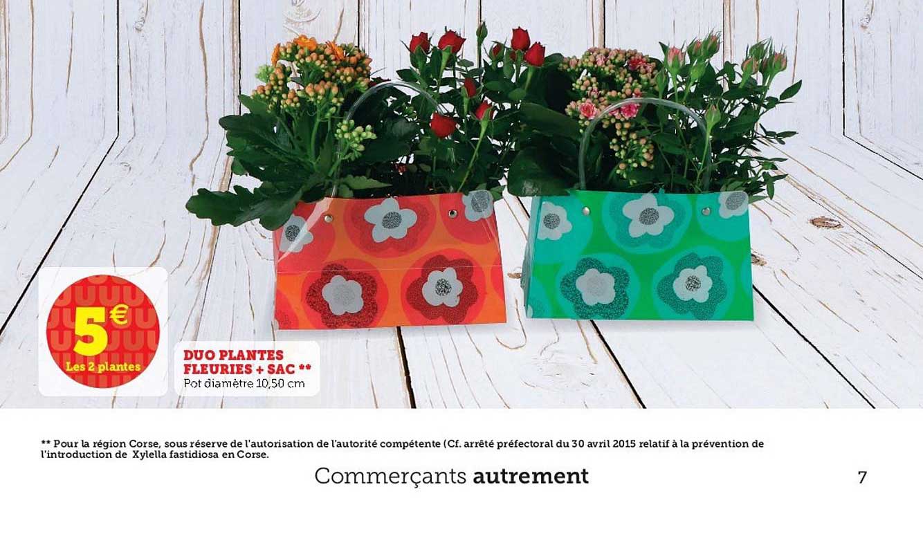 duo plantes fleuries + sac