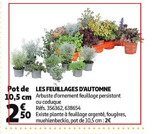 les feuillages d'automne