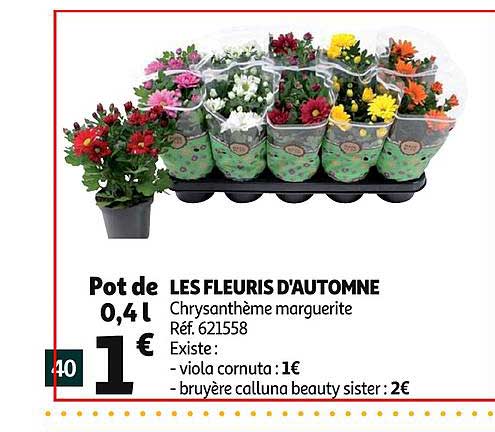 les fleuris d'automne