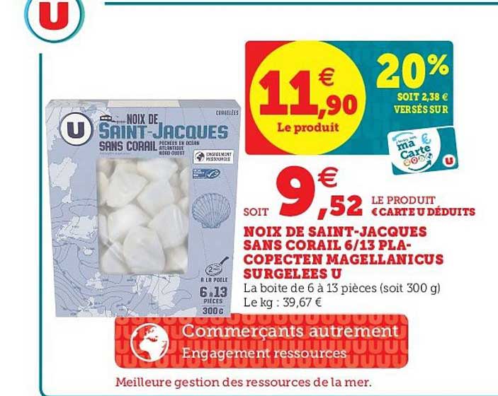 noix de saint jacques sans corail 6 13 pla copecten magellanicus surgelées u
