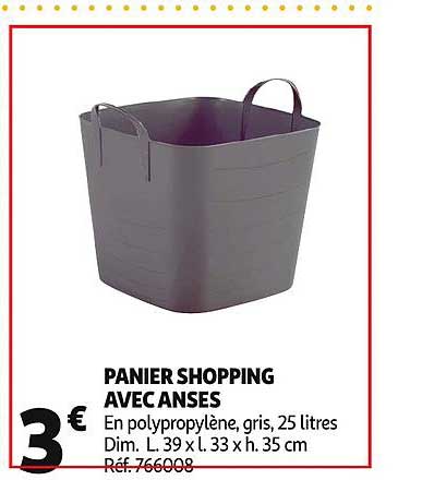 Panier Shopping Avec Canses
