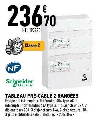 tableau pré-câblé 2 rangées schneider electric