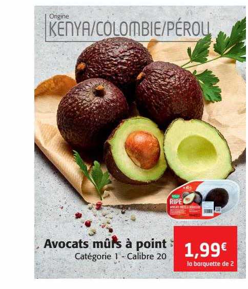 avocats mûrs à point