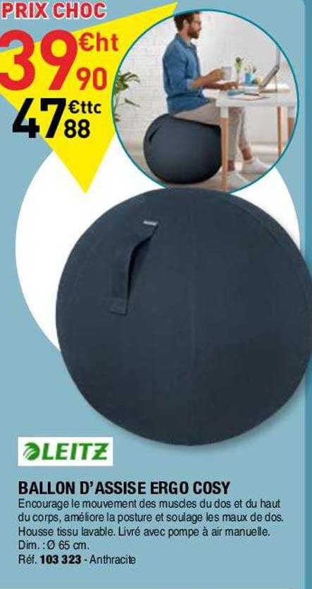 ballon d'assise ergo cosy leitz