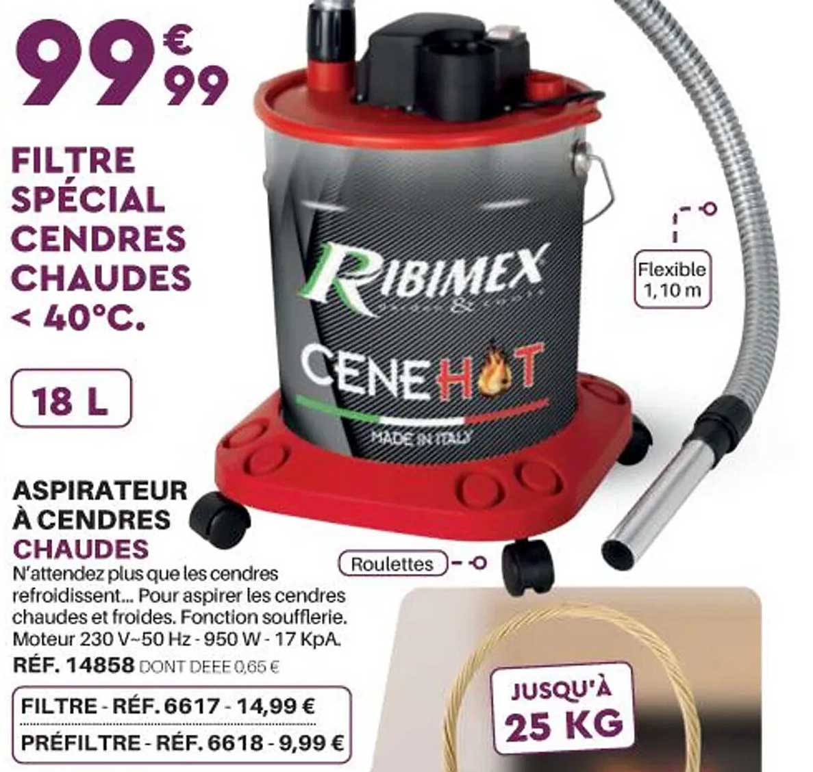 aspirateur à cendres chaudes
