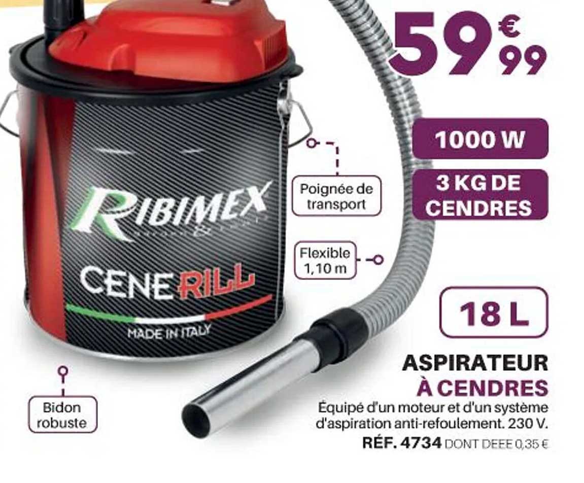 aspirateur à cendres ribimex
