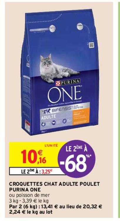 Croquettes Chat Adulte Poulet Purina One