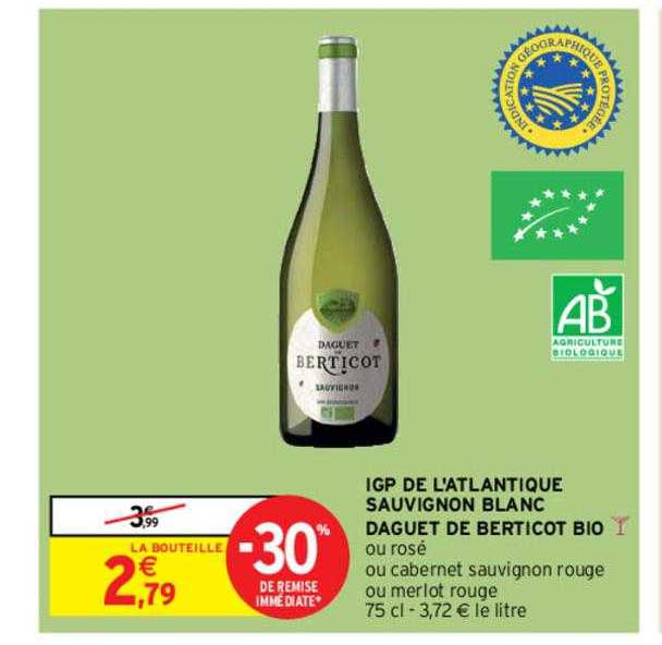 igp de l'atlantique sauvignon blanc daguet de berticot bio