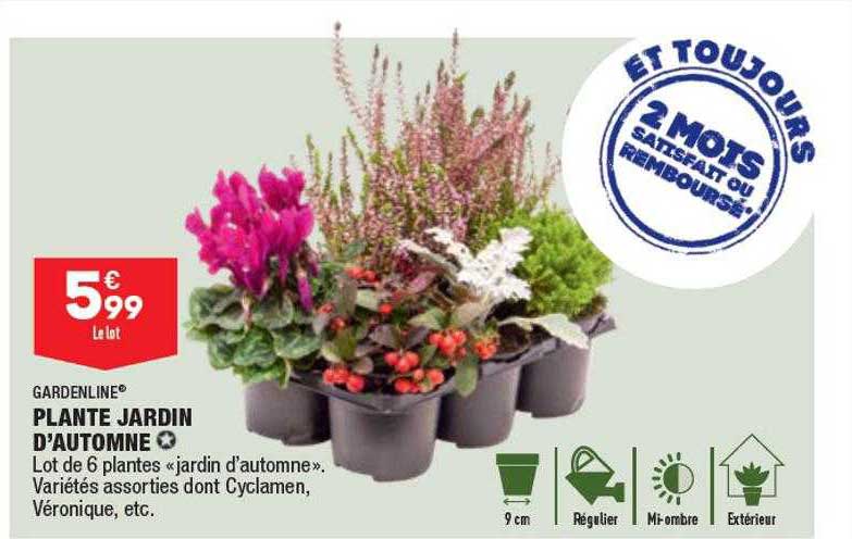 plante jardin d'automne gardenline
