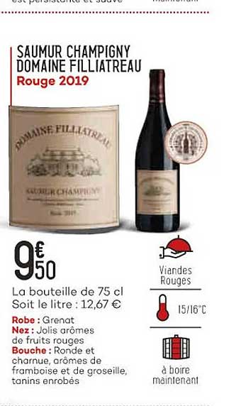 saumur champigny domaine filliatreau rouge 2019