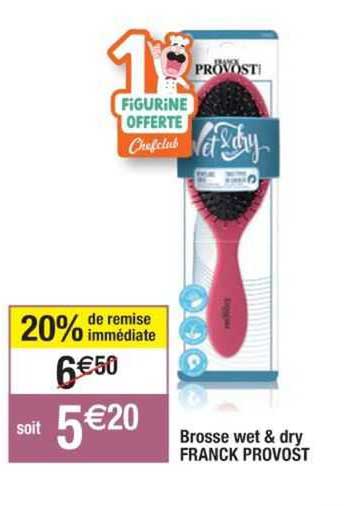 brosse wet & dry franck provost