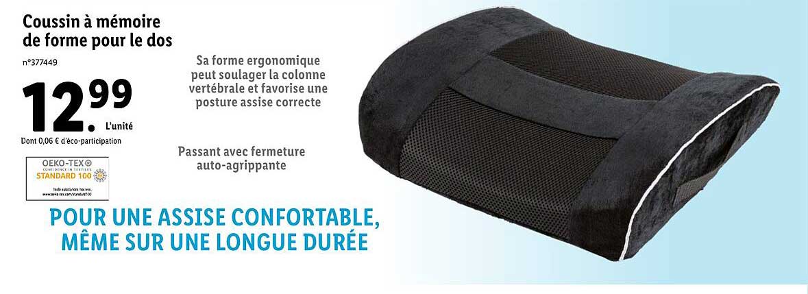 Coussin à Mémoire De Forme Pour Le Dos