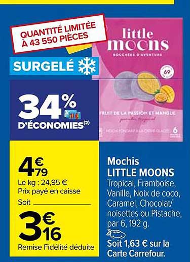 mochis little moons