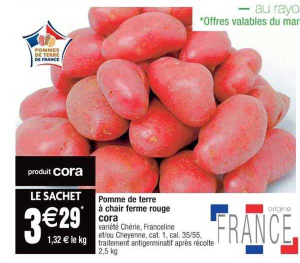 Pomme De Terre à Chair Ferme Rouge Cora