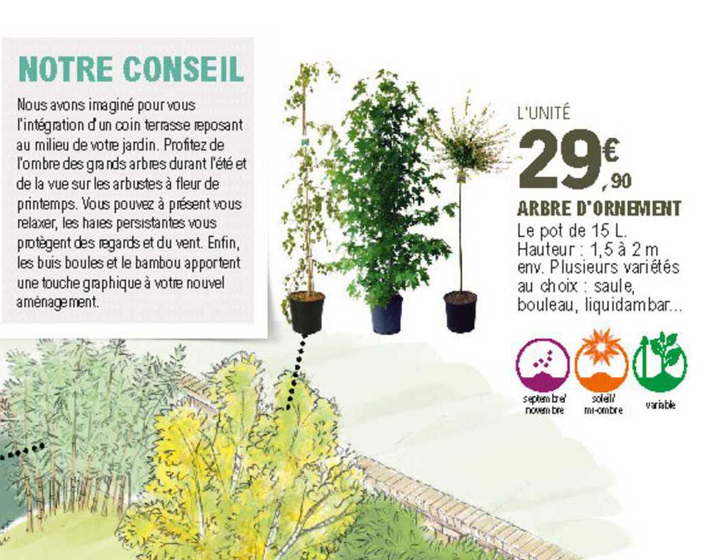 arbre d'ornement