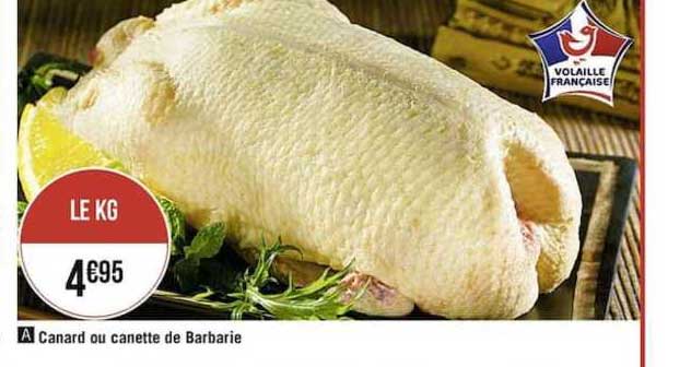 canard ou canette de barbarie