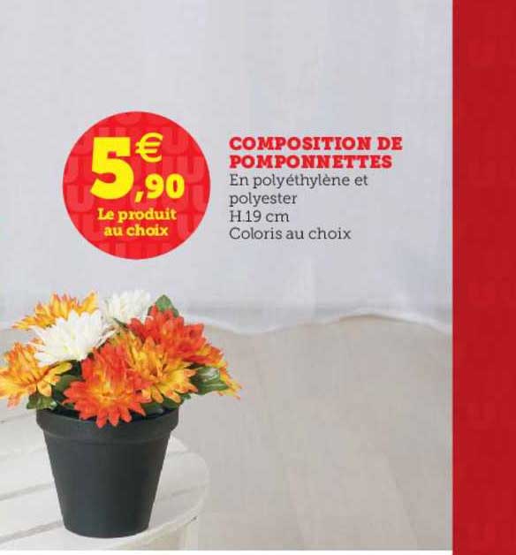 Composition De Pomponnettes