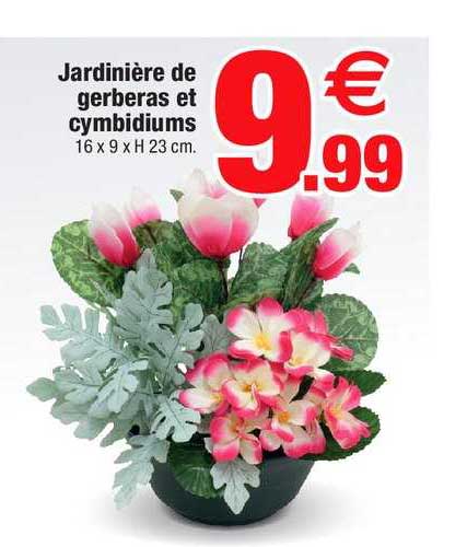Jardinière De Gerberas Et Cymbidiums