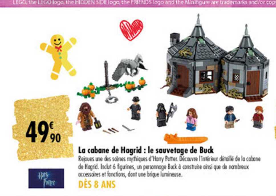 la cabane de hagrid le sauvetage de buck