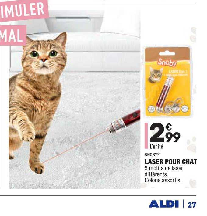 laser pour chat snoby
