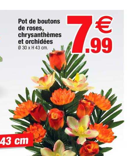Pot De Boutons De Roses Chrysanthèmes Et Orchidées