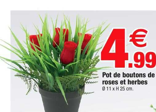 Pot De Boutons De Roses Et Herbes