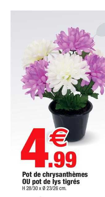 pot de chrysanthèmes ou pot de lys tigrés