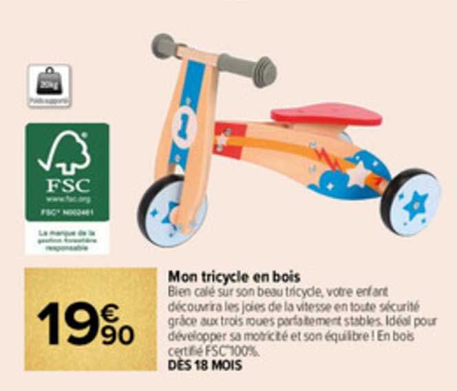 mon tricycle en bois