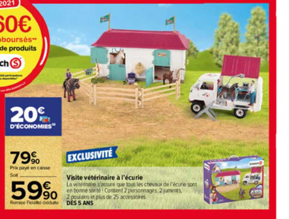 visite vétérinaire à l'écurie