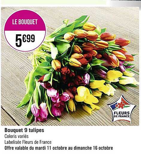 Bouquet 9 Tulipes