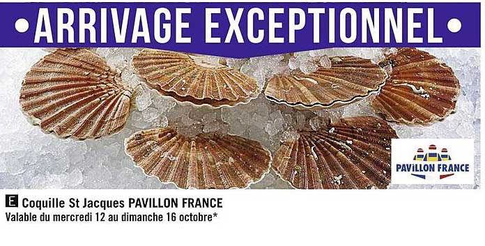coquille st jacques pavillon france