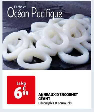 anneaux d'encornet géant