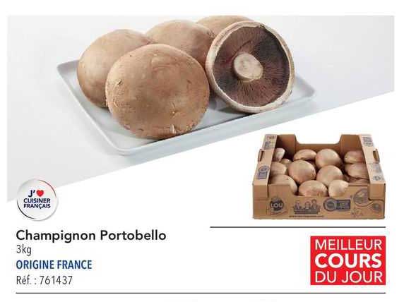 champignon portobello