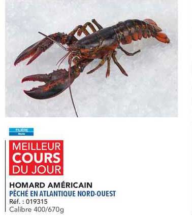 Homard Emérican