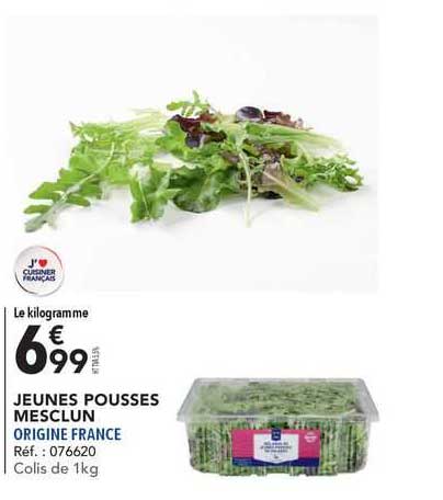 jeunes pousses mesclun