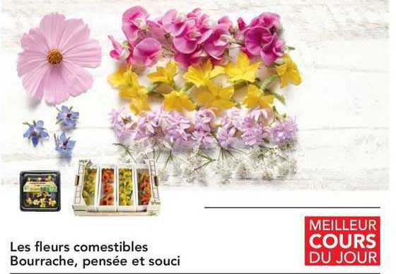 les fleurs comestibles bourrache, pensée et souci