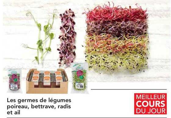 les germes de légumes poireau, bettrave, radis et ail