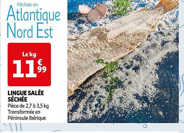 Lingue Salée Séchée