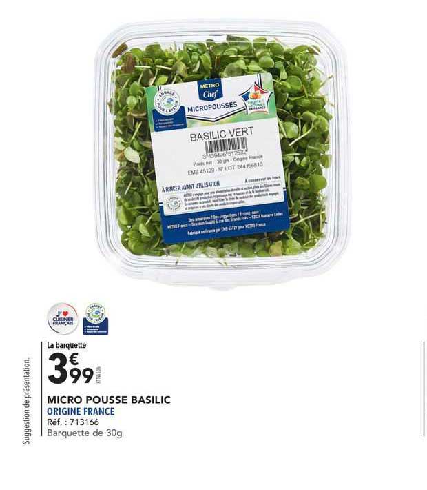 Micro Pousse Basilic