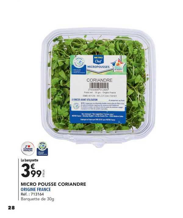Micro Pousse Coriandre