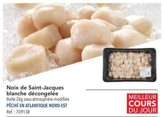 Noix De Saint-jacques Blanche Décongelée