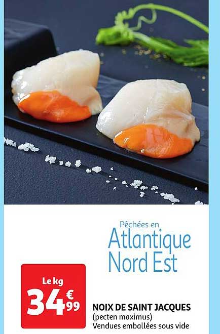 noix de saint jacques