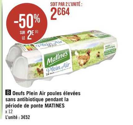 oeufs plein air poulets élevées sans antibiotique pendant la période de ponte matines