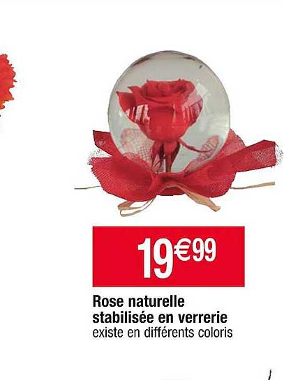rose naturelle stabilisée en verrerie
