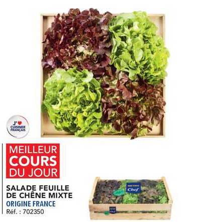Salade Feuille De Chêne Mixte