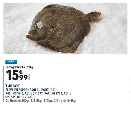 Turbot
