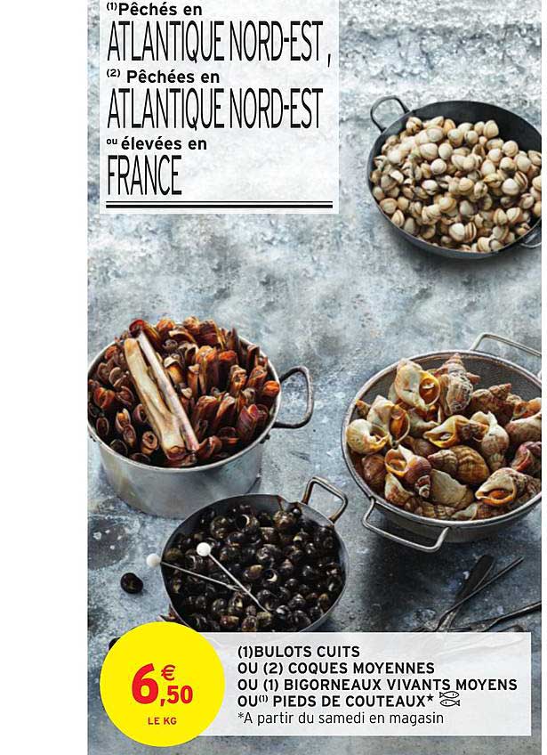 bulots cuits ou coques moyennes ou bigorne aux vivants moyens ou pieds de couteaux