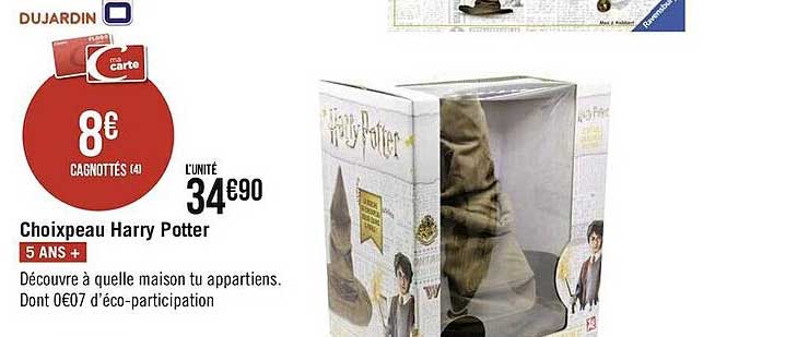 choixpeau harry potter